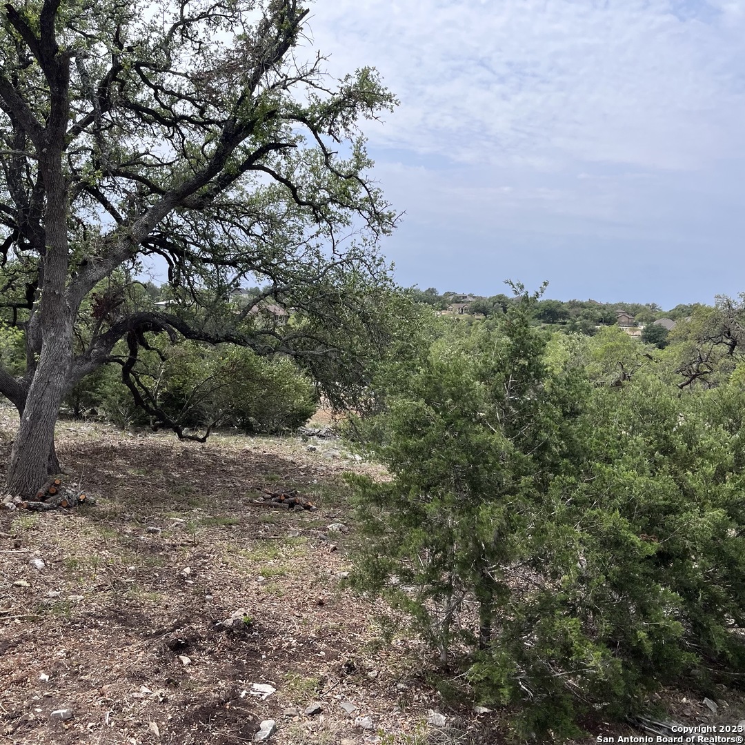 1430 Trailhead New Braunfels TX 78132