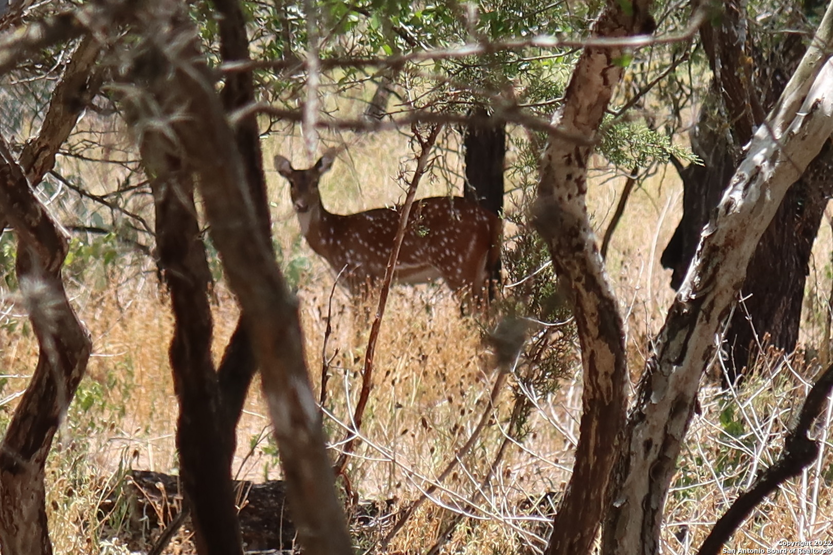 Tbd Cypress Bandera TX 78003