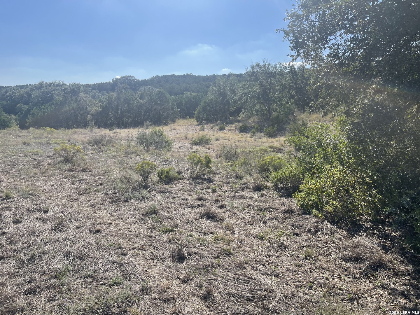 Tbd Lot 8 Pr 2775 Mico TX 78056