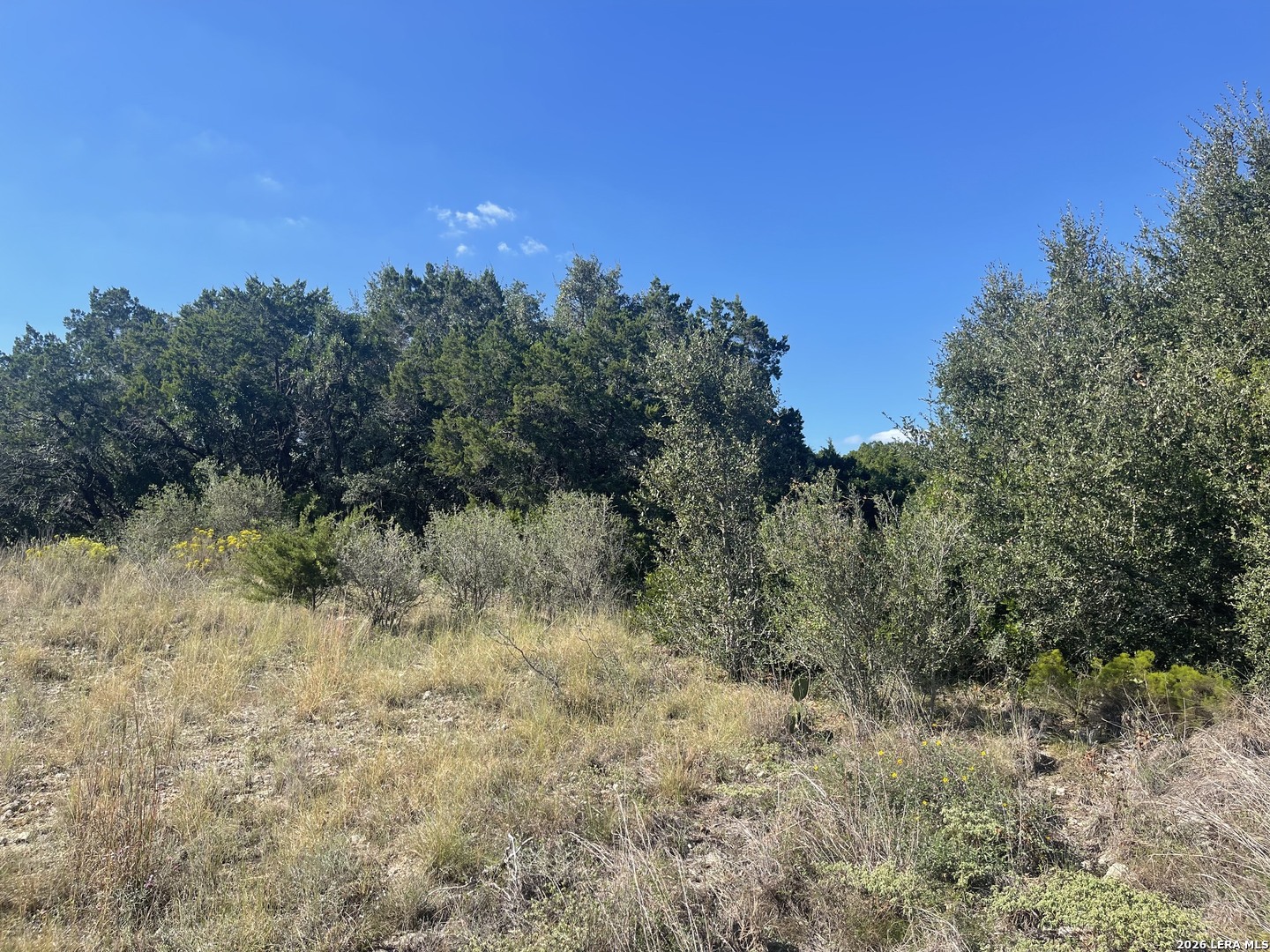 Tbd Lot 8 Pr 2775 Mico TX 78056