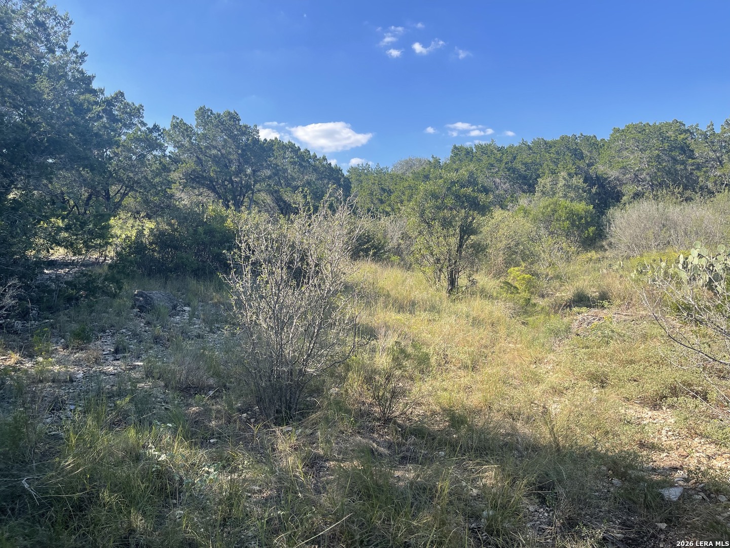 Tbd Lot 8 Pr 2775 Mico TX 78056