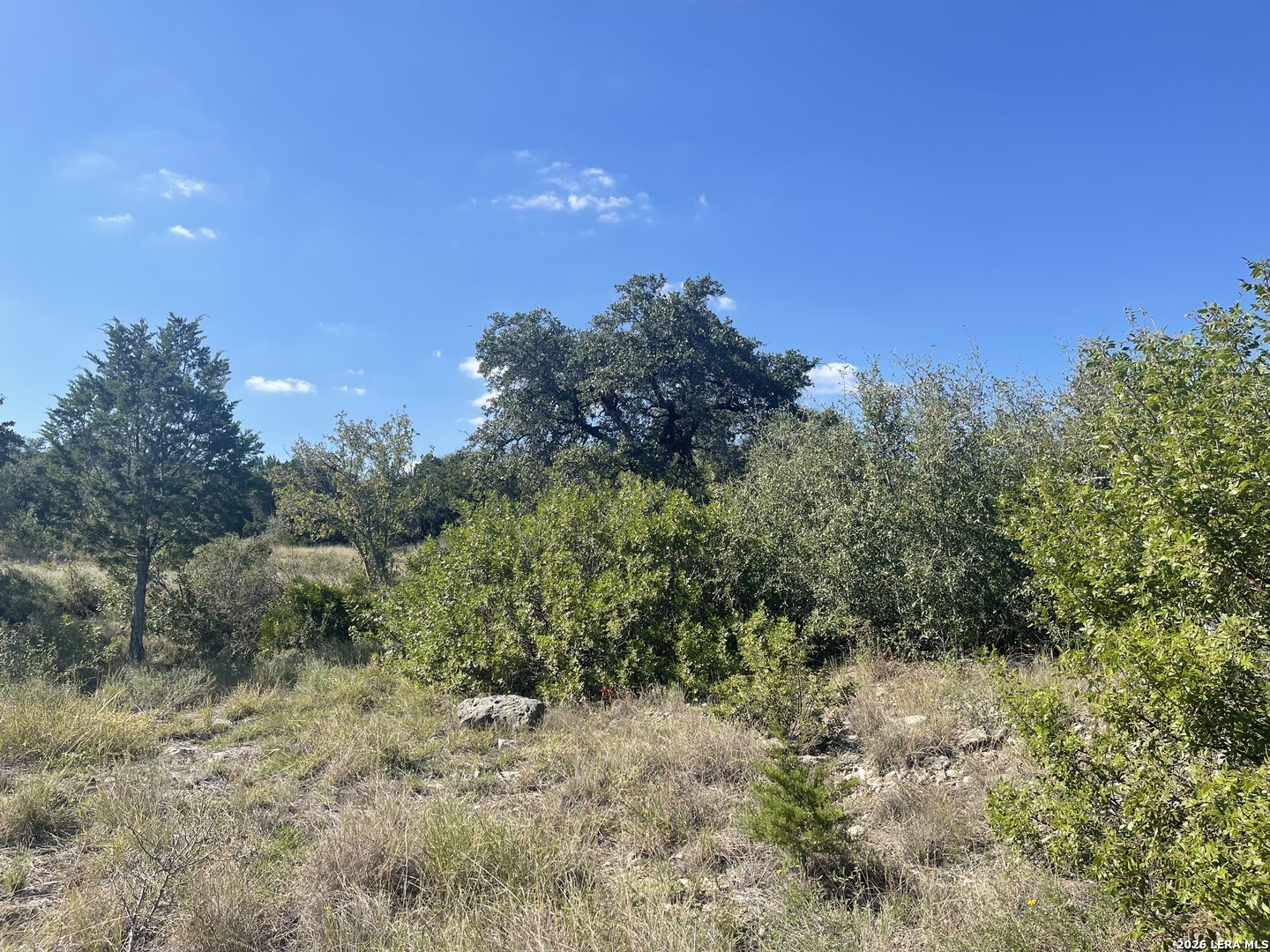 Tbd Lot 8 Pr 2775 Mico TX 78056