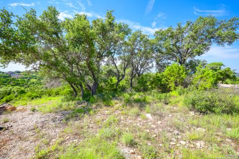 255 River Bend Place Spring Branch TX 78070