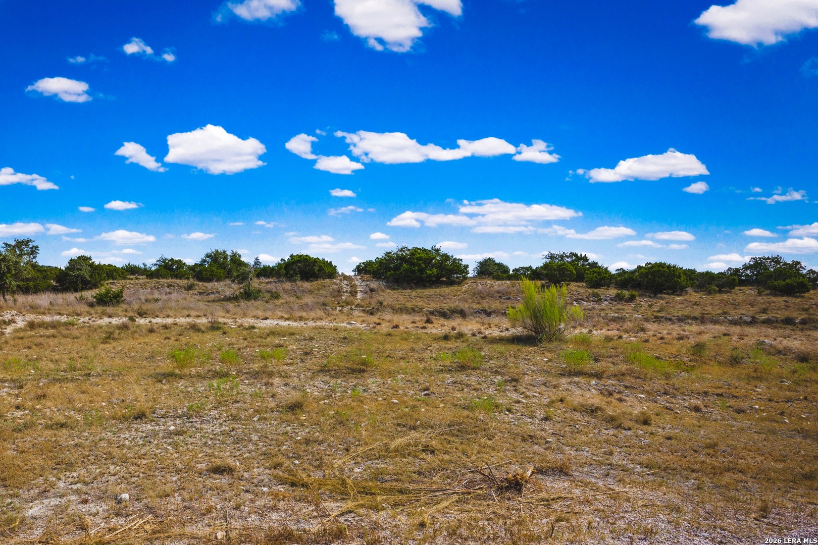 169 Star View Cove Blanco TX 78606