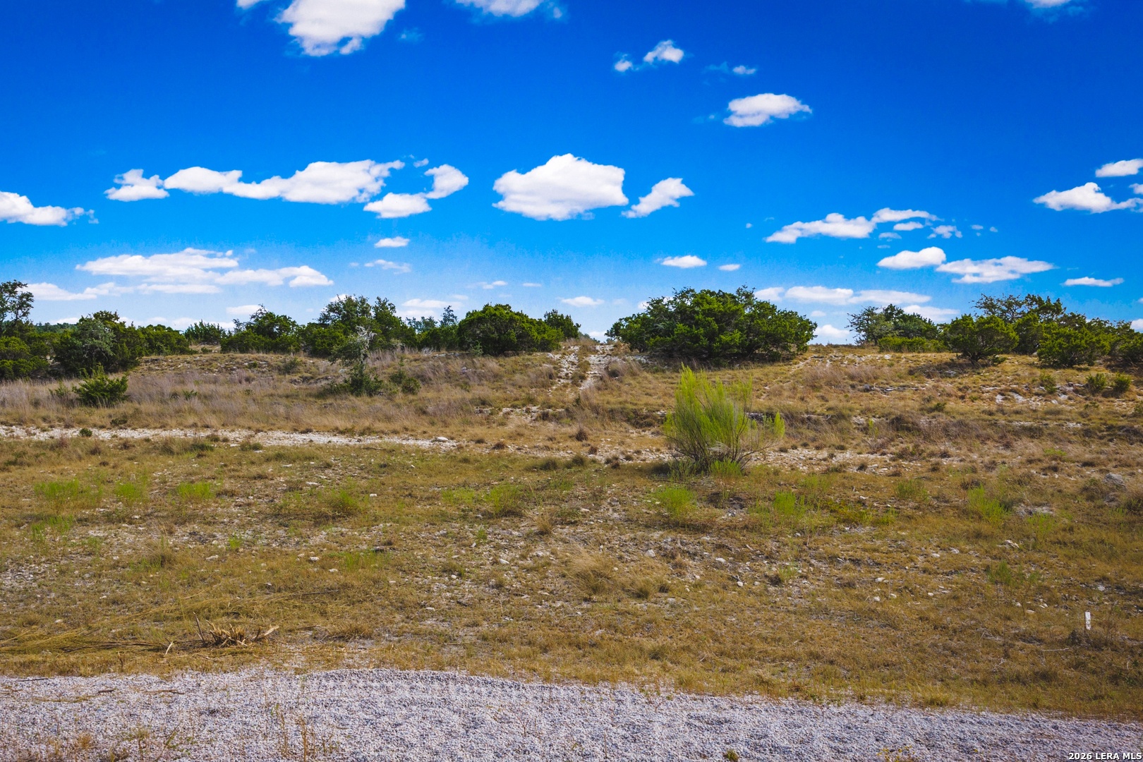 169 Star View Cove Blanco TX 78606