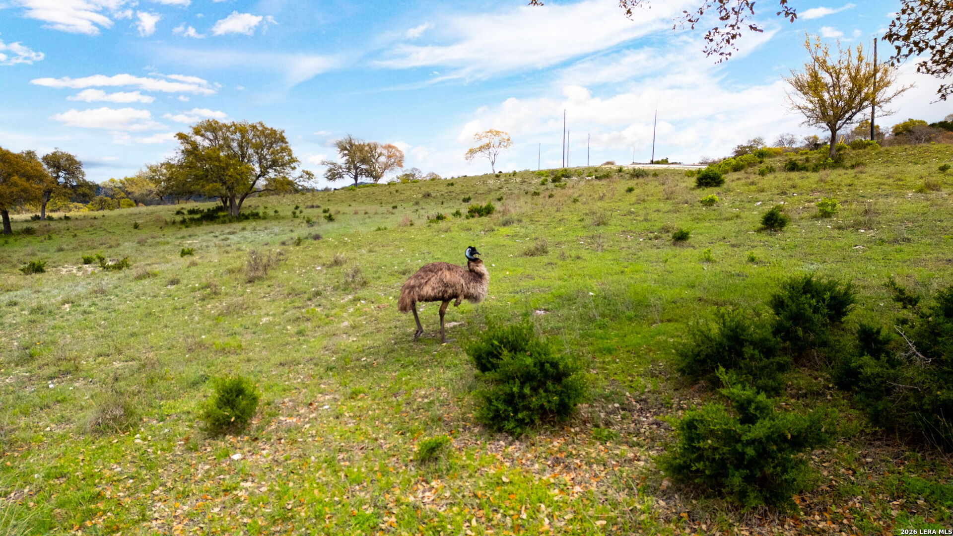 Lot 33 Blackbuck Trail Pipe Creek TX 78063