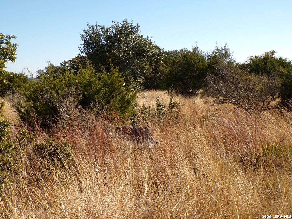 196 Las Brisas Kerrville TX 78028