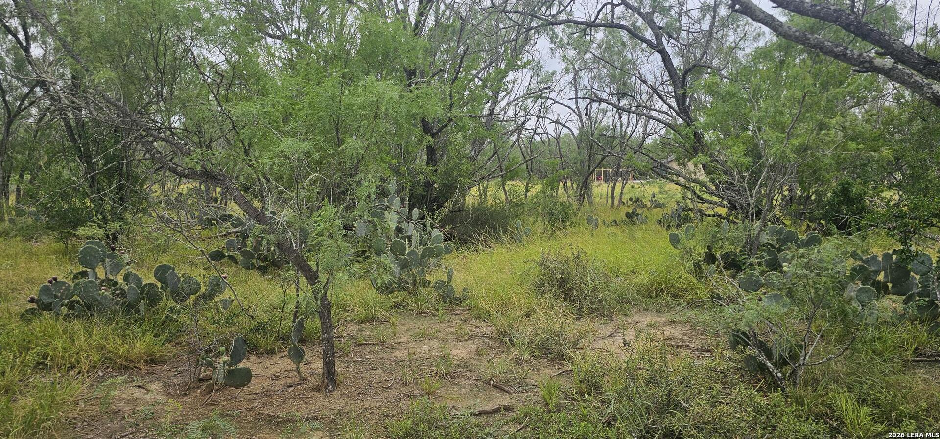 141 Sylas Hayes Loop Pleasanton TX 78064