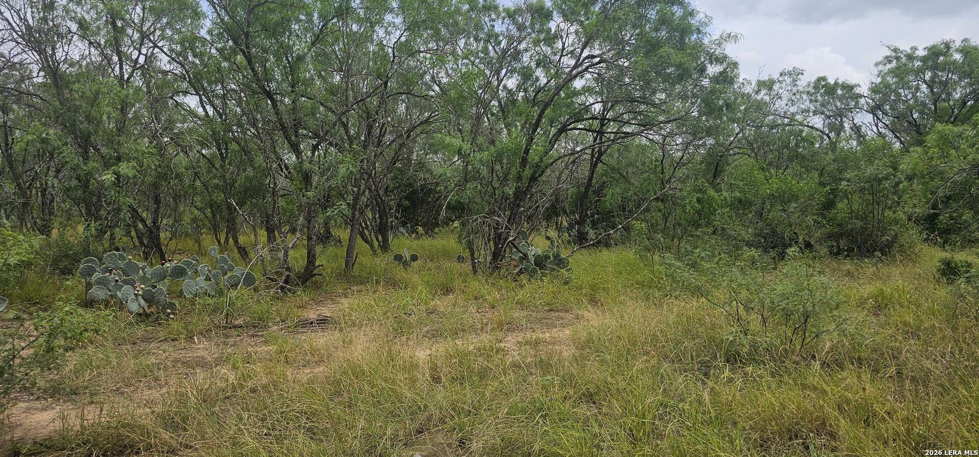 141 Sylas Hayes Loop Pleasanton TX 78064