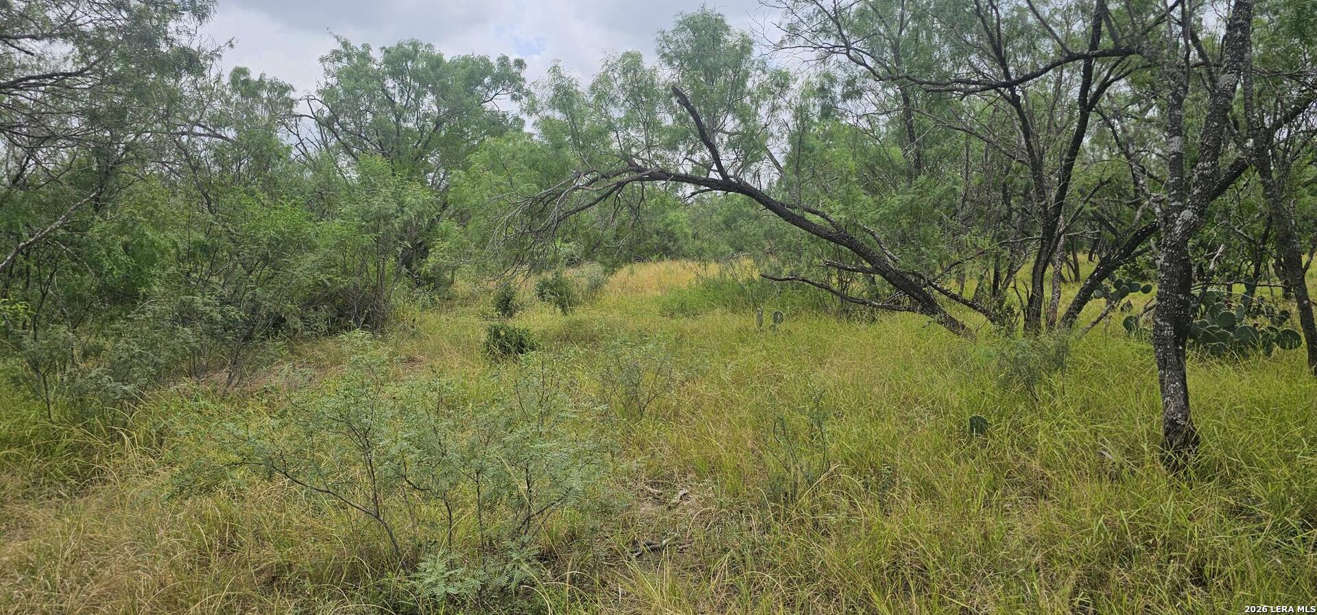 141 Sylas Hayes Loop Pleasanton TX 78064