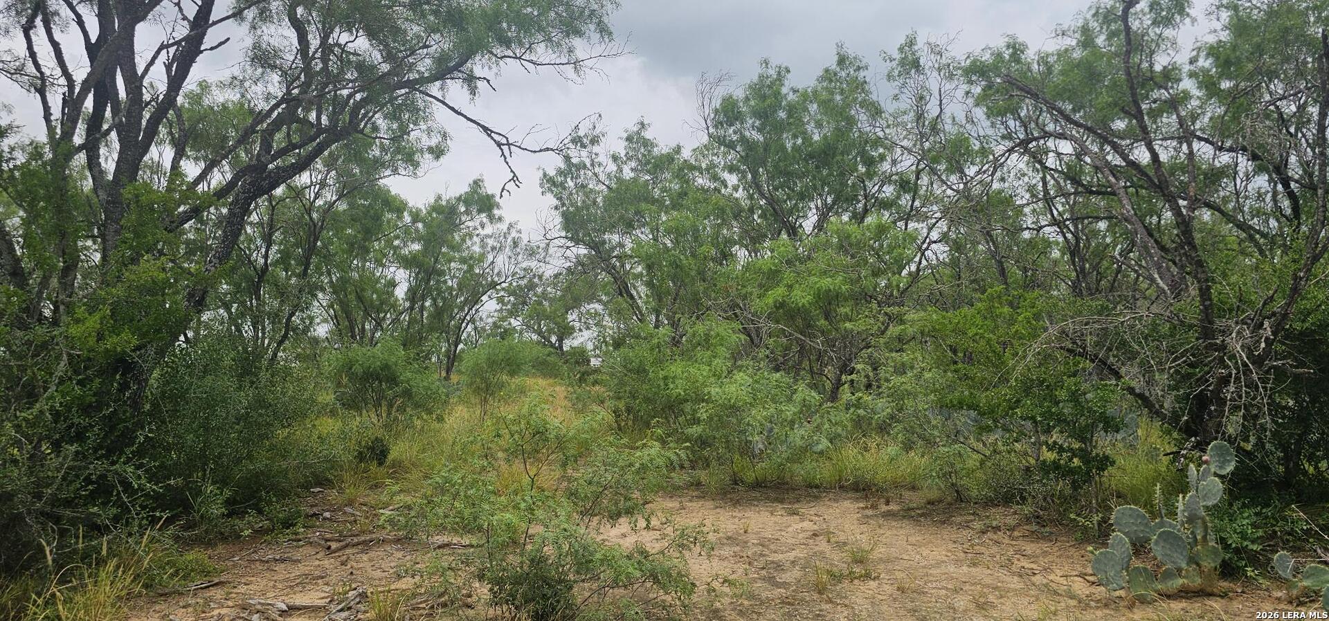 141 Sylas Hayes Loop Pleasanton TX 78064