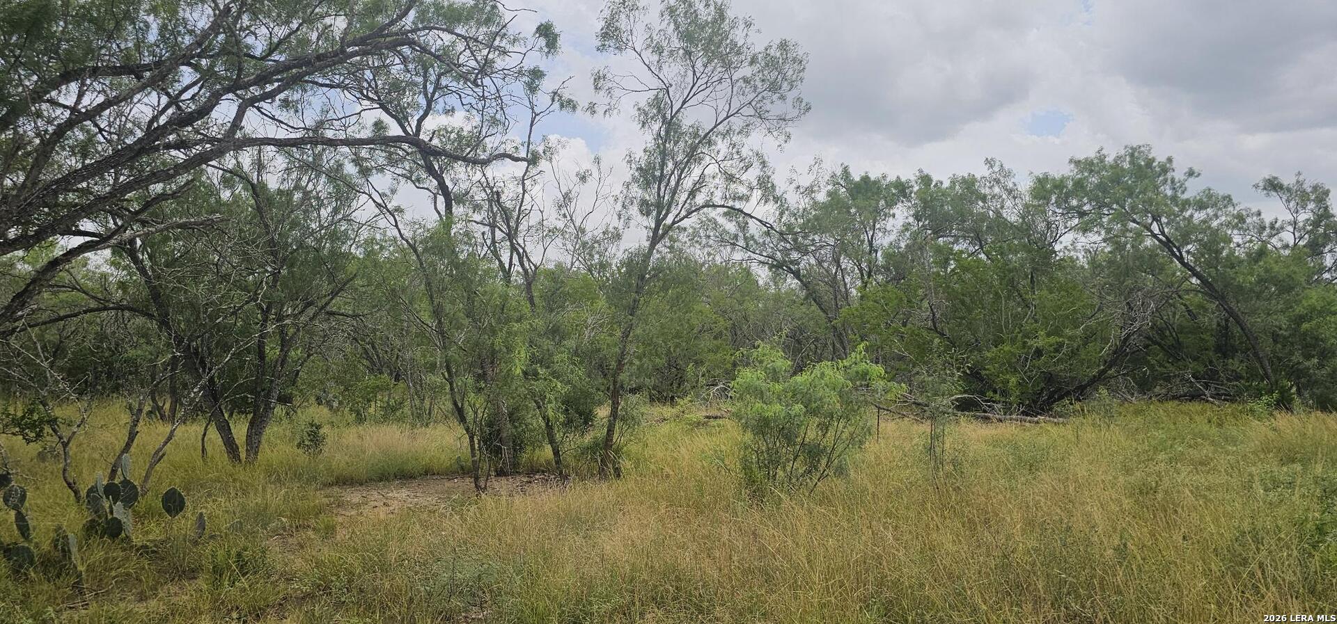141 Sylas Hayes Loop Pleasanton TX 78064