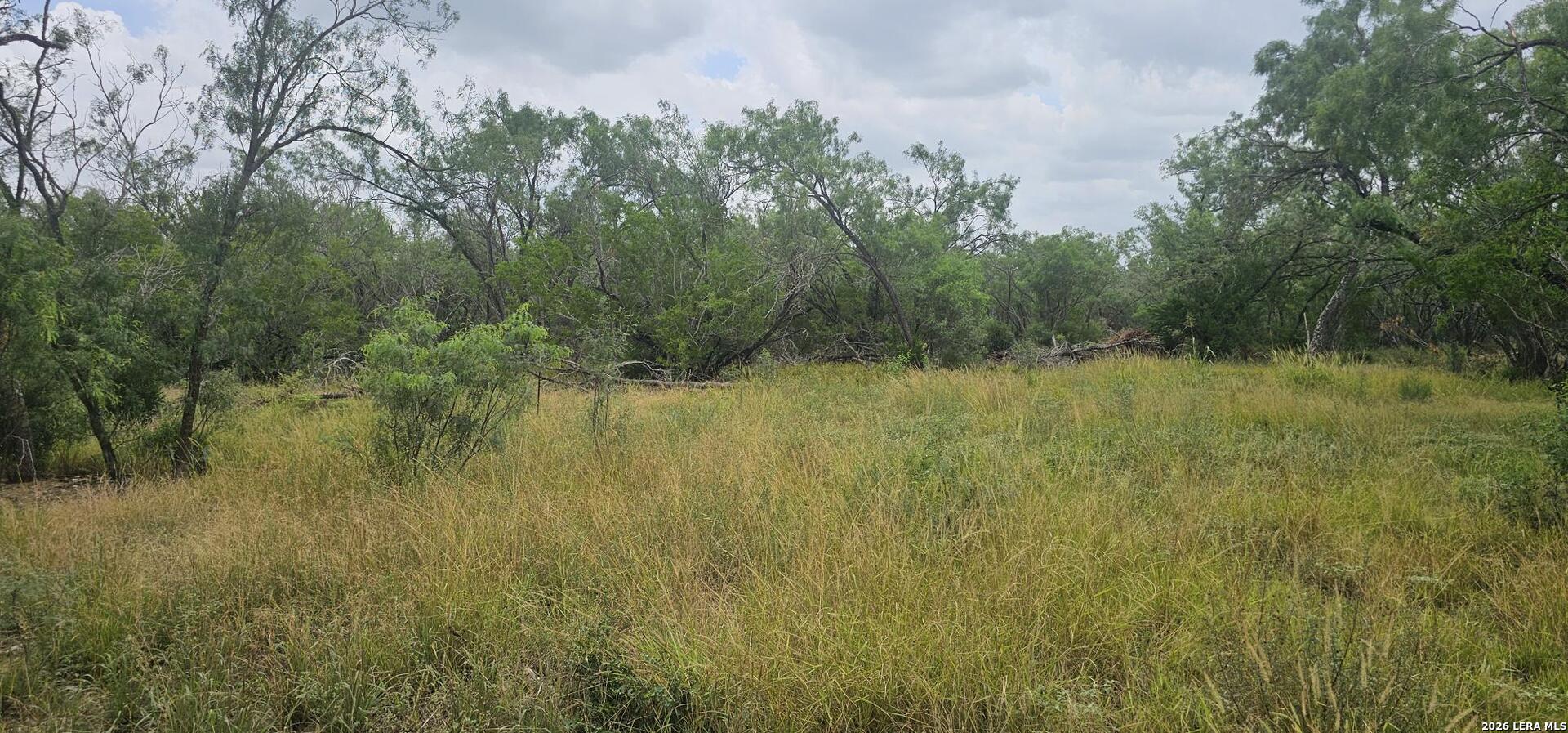 141 Sylas Hayes Loop Pleasanton TX 78064