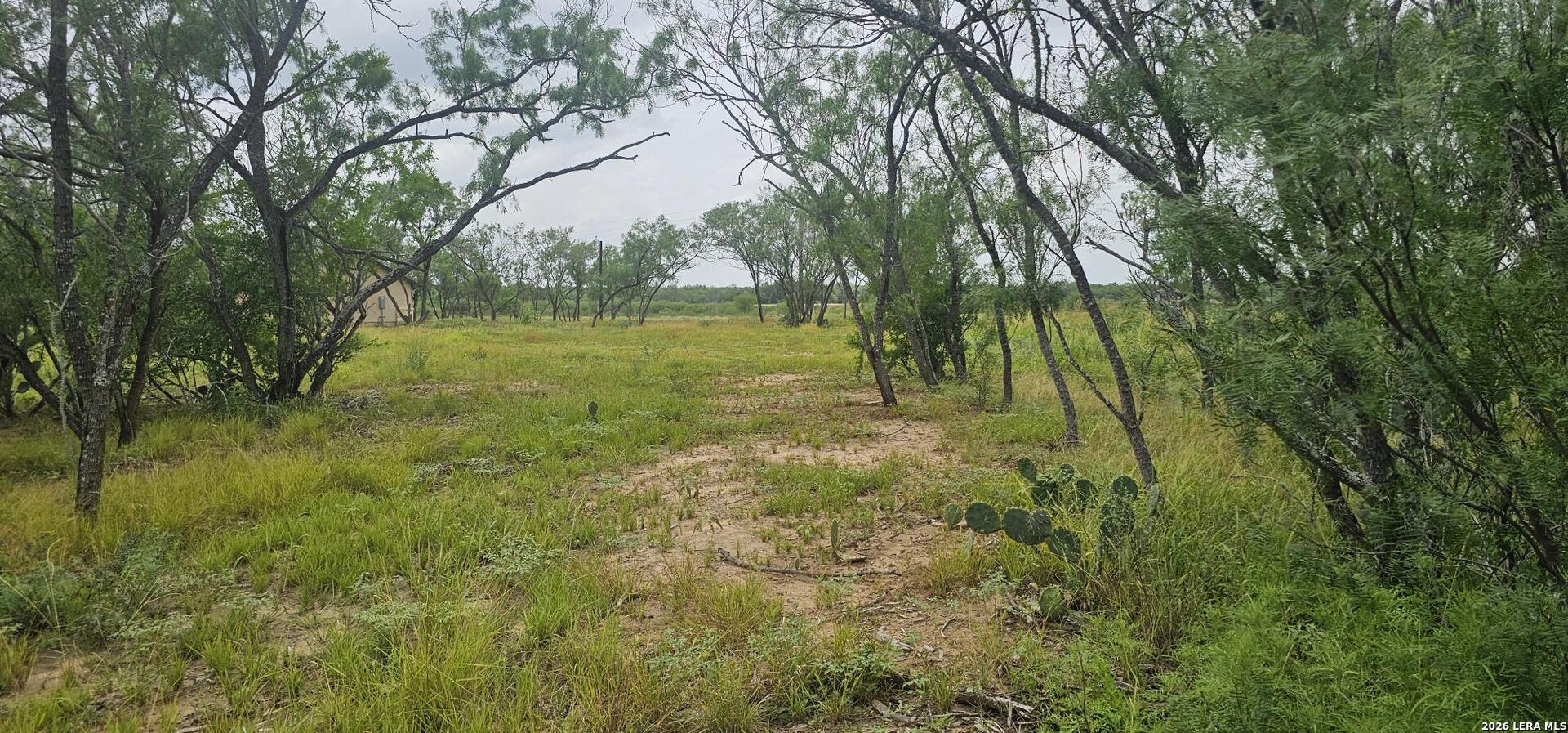 141 Sylas Hayes Loop Pleasanton TX 78064