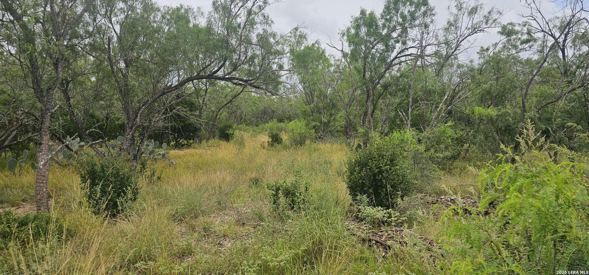 141 Sylas Hayes Loop Pleasanton TX 78064