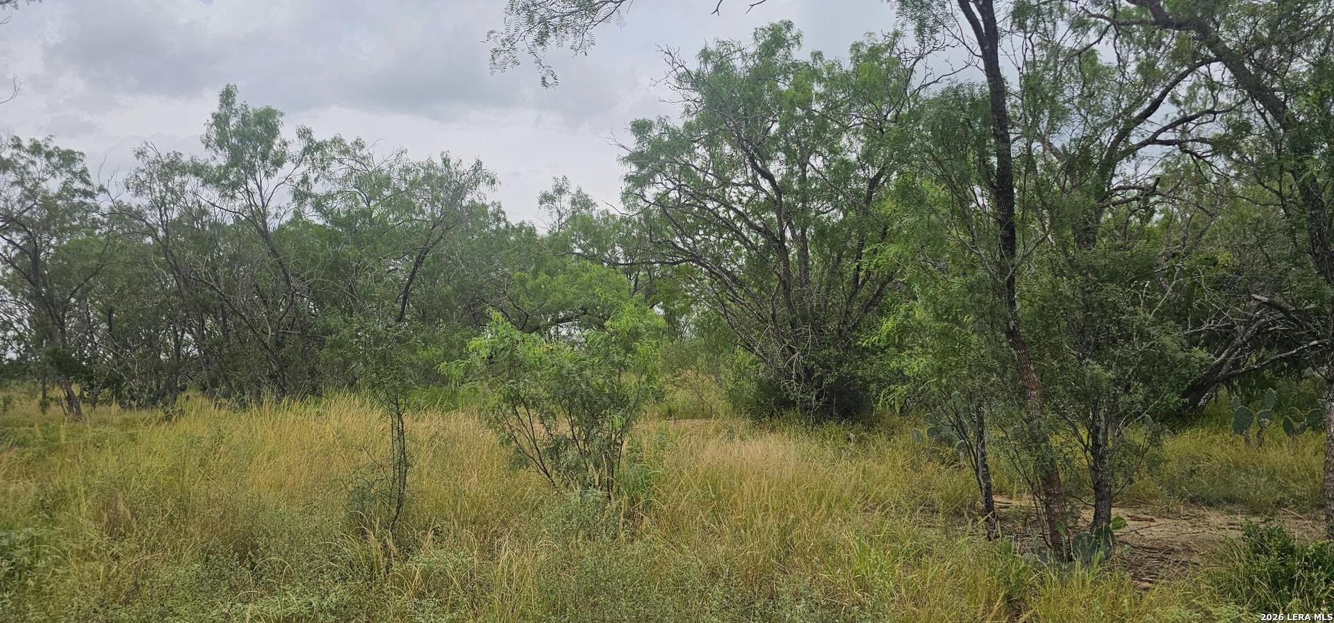 141 Sylas Hayes Loop Pleasanton TX 78064