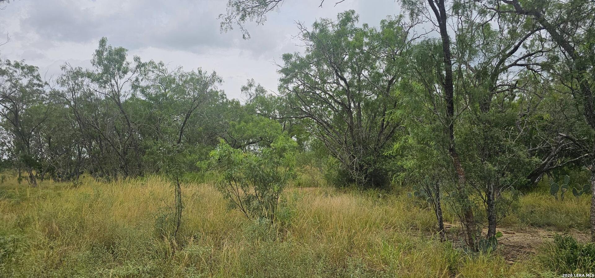 141 Sylas Hayes Loop Pleasanton TX 78064
