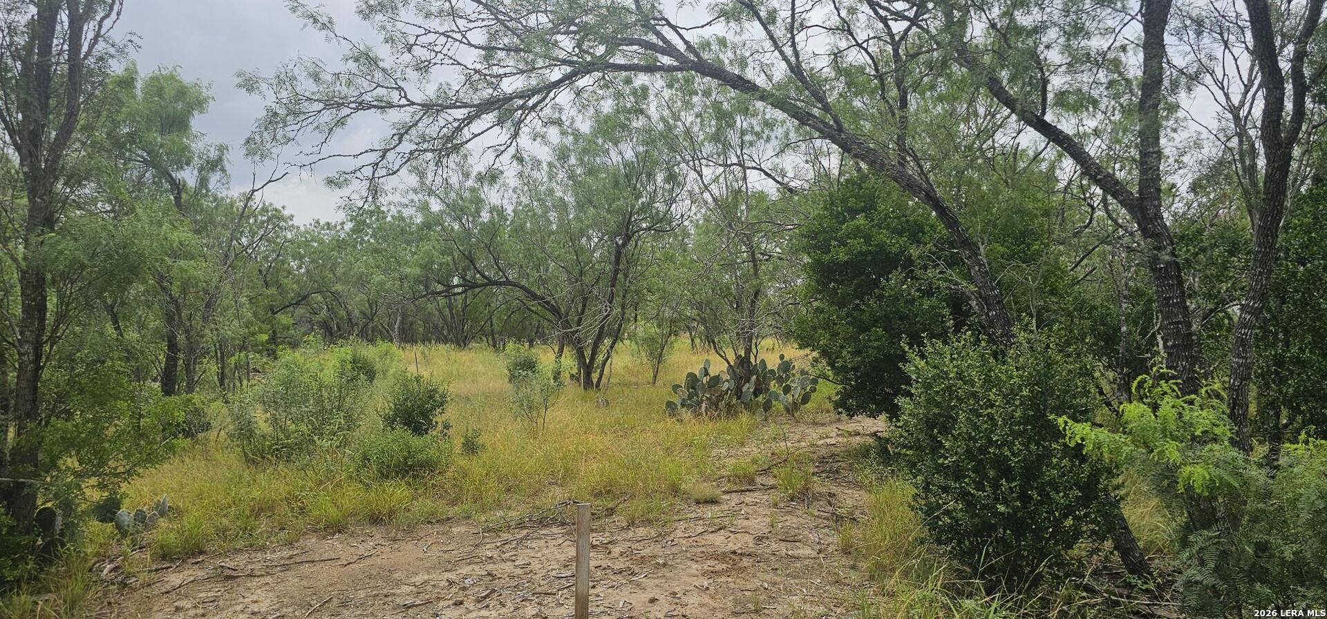 141 Sylas Hayes Loop Pleasanton TX 78064