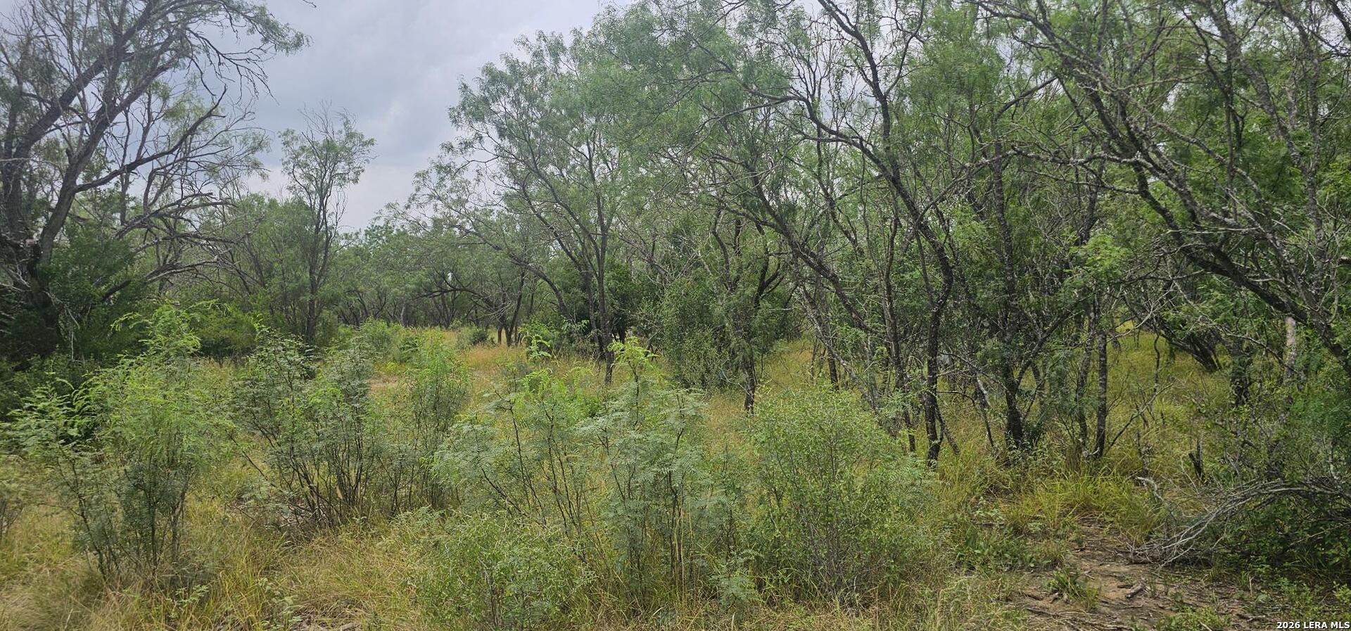 141 Sylas Hayes Loop Pleasanton TX 78064