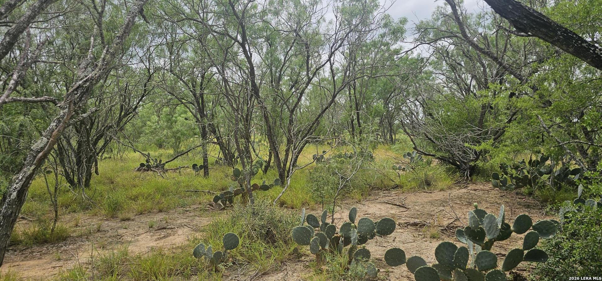 141 Sylas Hayes Loop Pleasanton TX 78064