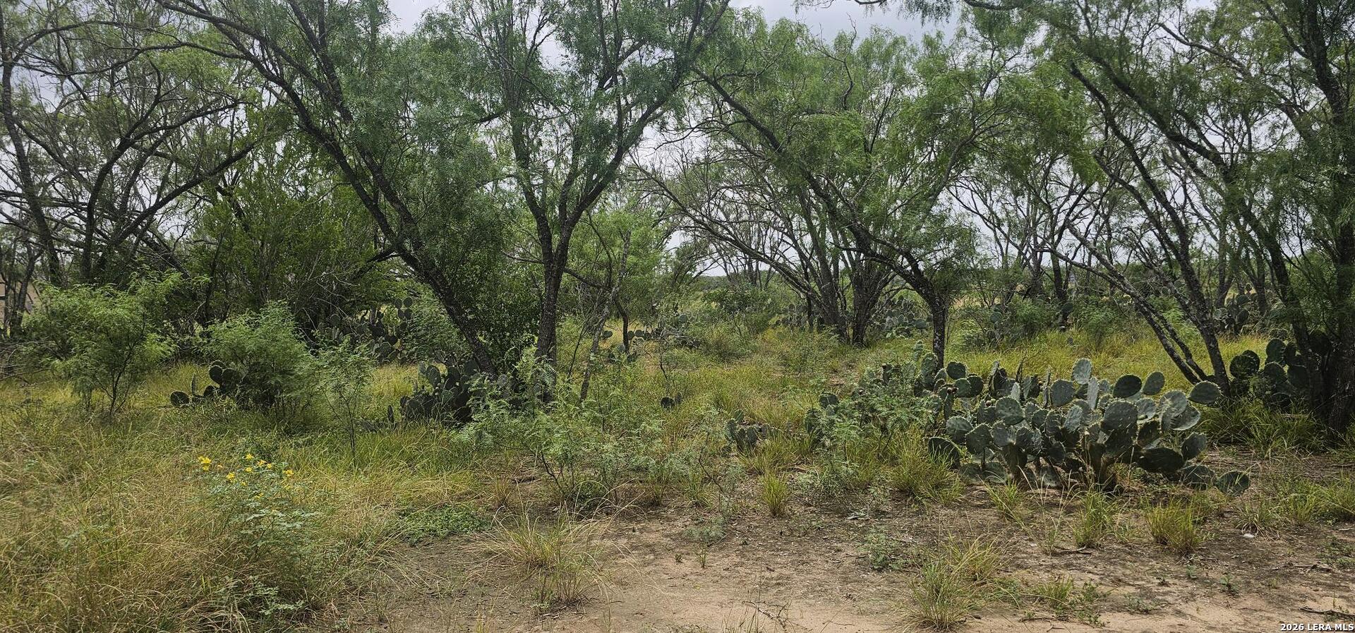 141 Sylas Hayes Loop Pleasanton TX 78064