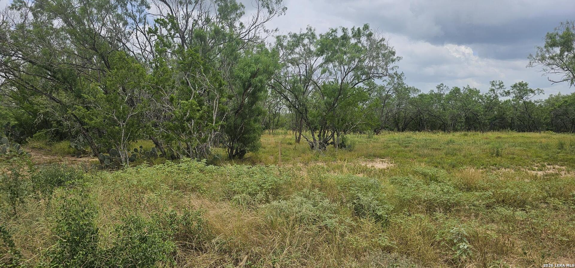 141 Sylas Hayes Loop Pleasanton TX 78064