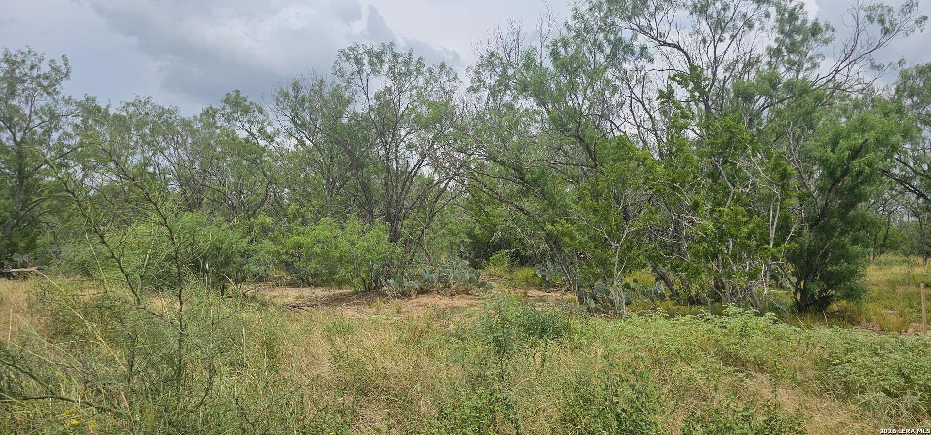 141 Sylas Hayes Loop Pleasanton TX 78064
