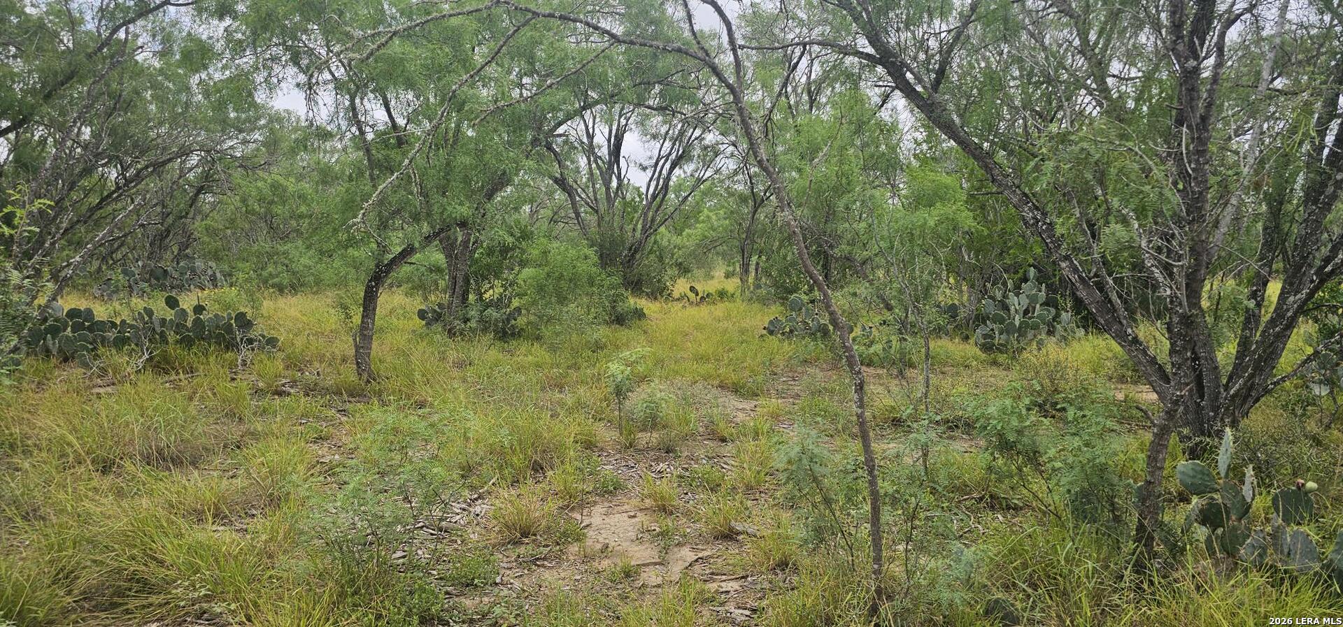 141 Sylas Hayes Loop Pleasanton TX 78064