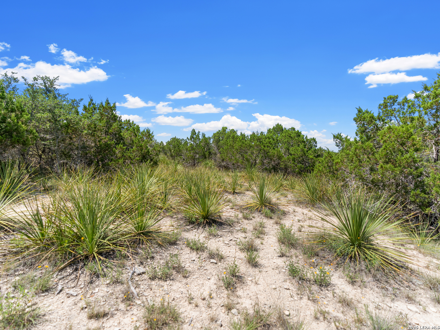 242 Ridge Point Spring Branch TX 78070