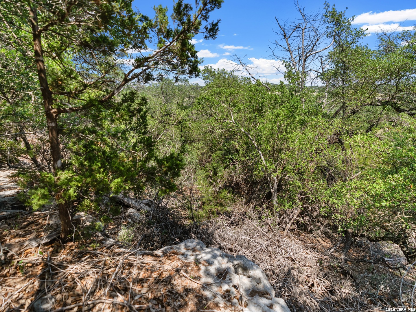 242 Ridge Point Spring Branch TX 78070