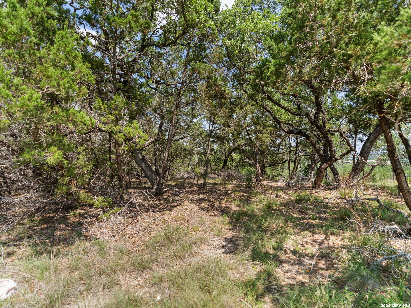 242 Ridge Point Spring Branch TX 78070