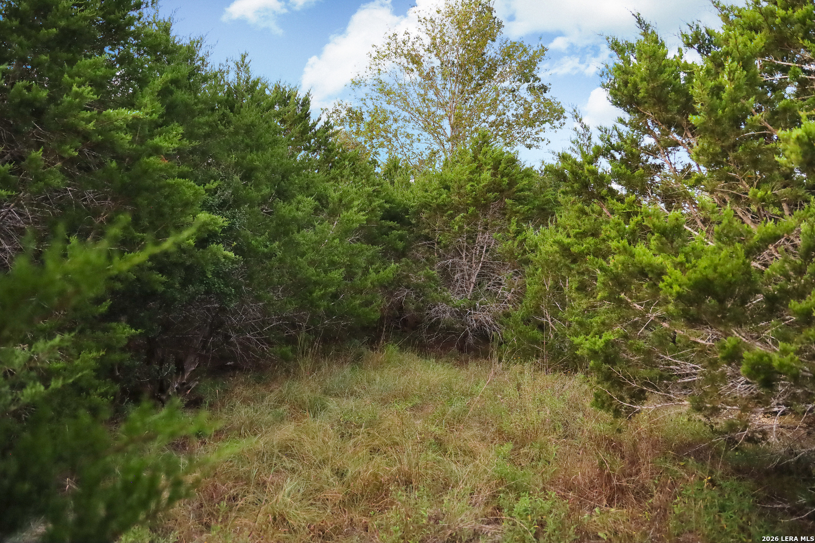 1648 Noble Trail Canyon Lake TX 78133
