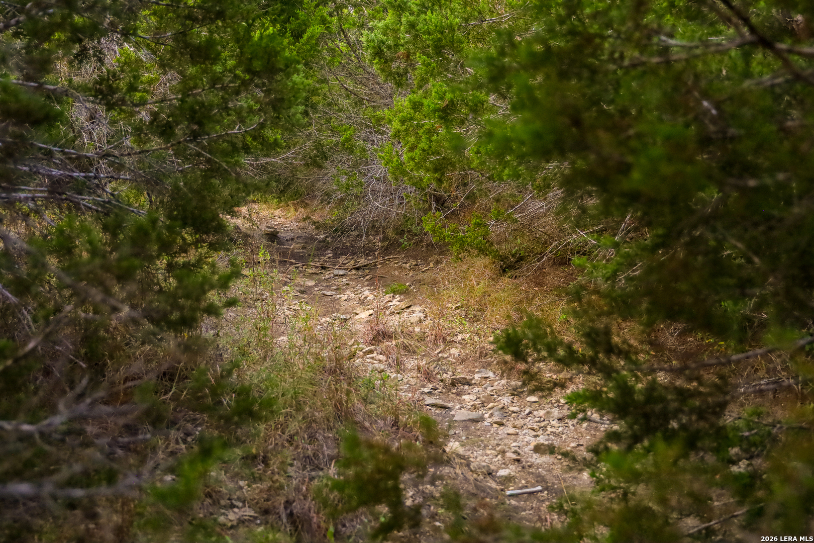 1648 Noble Trail Canyon Lake TX 78133