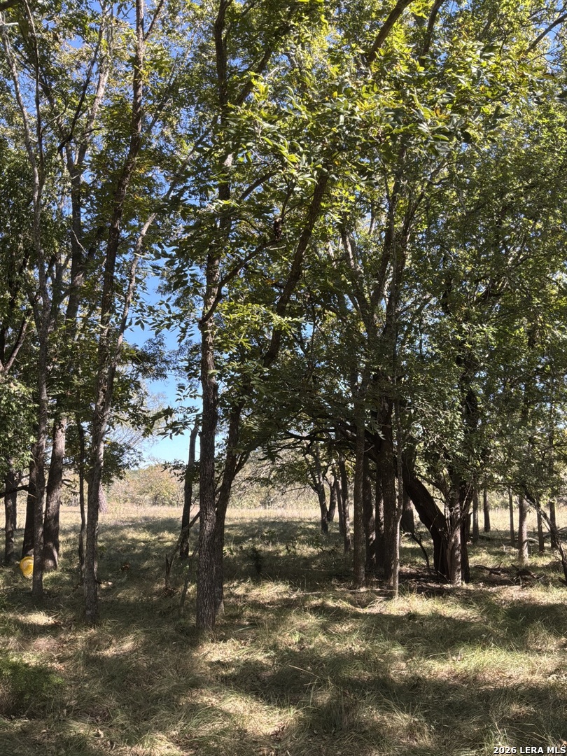 356 Phyliss Drive Bandera TX 78003