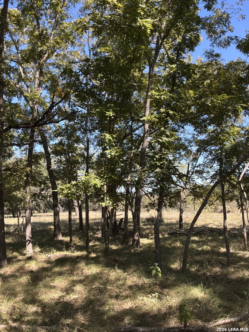 356 Phyliss Drive Bandera TX 78003