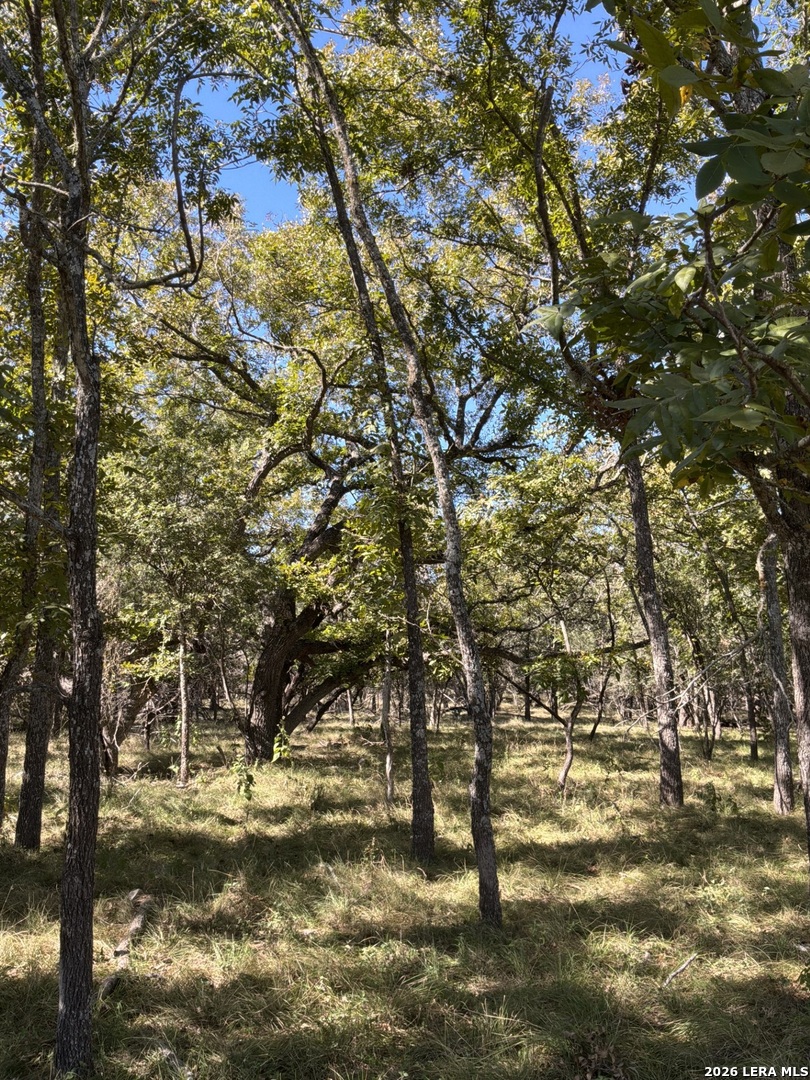 356 Phyliss Drive Bandera TX 78003