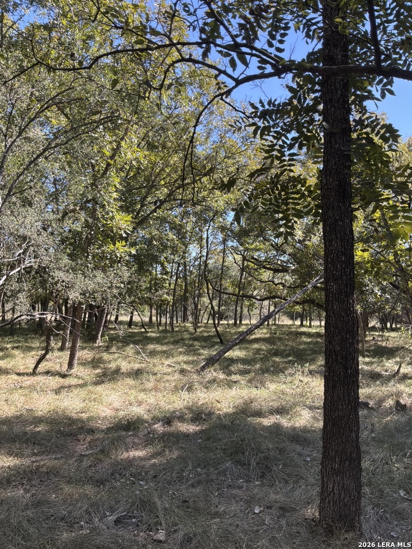 356 Phyliss Drive Bandera TX 78003