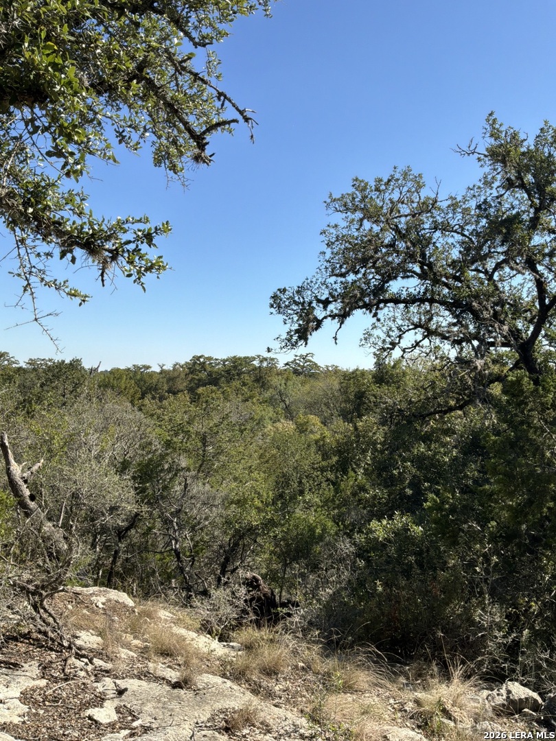 356 Phyliss Drive Bandera TX 78003