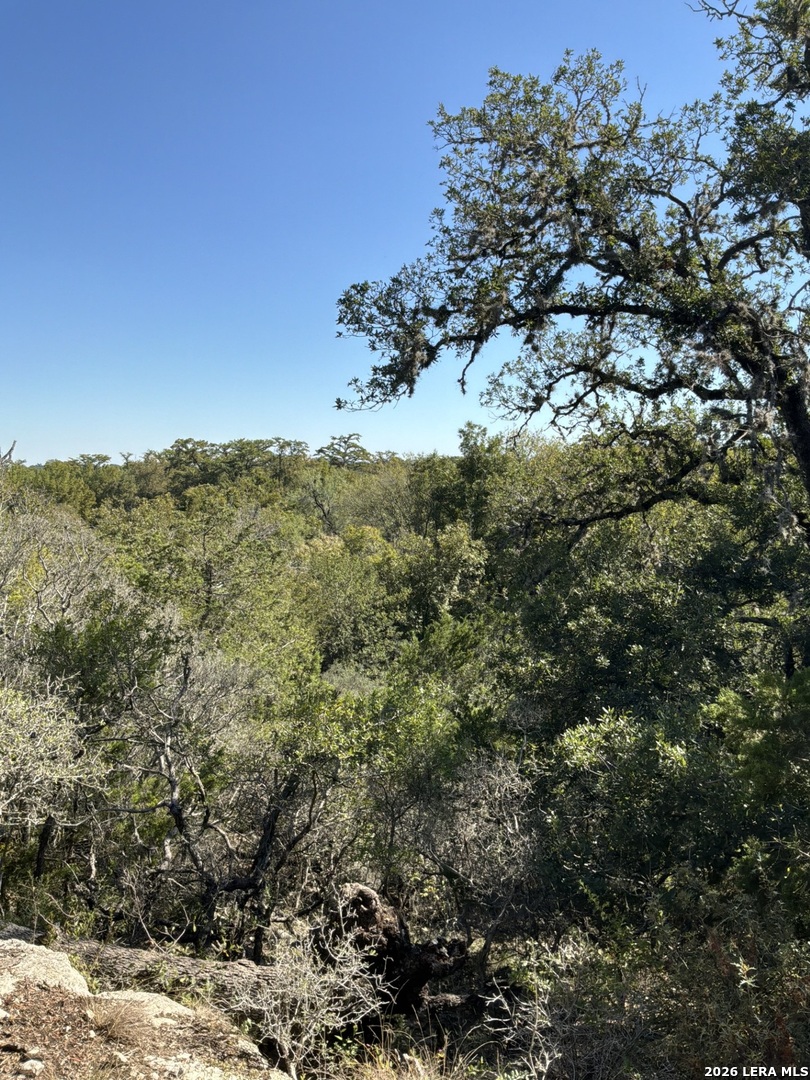 356 Phyliss Drive Bandera TX 78003