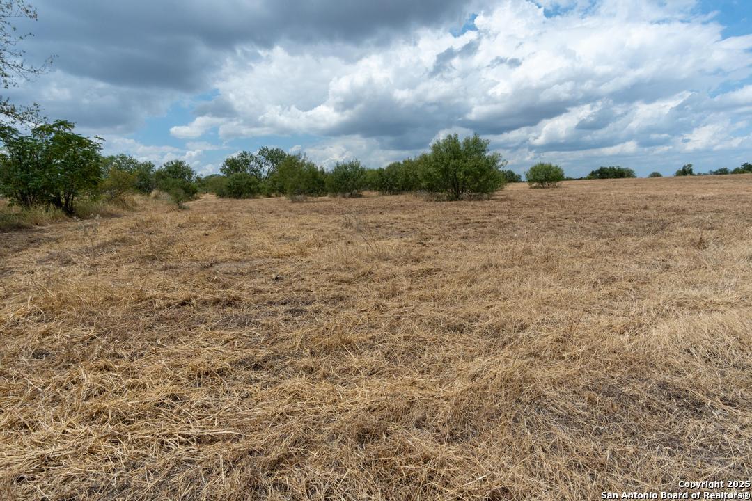 5425 Lone Oak Adkins TX 78101