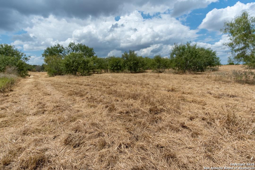 5425 Lone Oak Adkins TX 78101