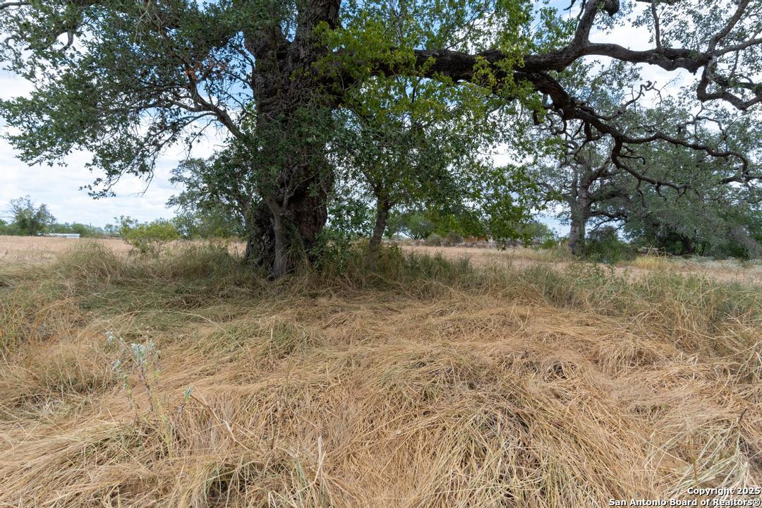 5425 Lone Oak Adkins TX 78101