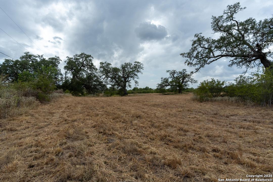 5425 Lone Oak Adkins TX 78101