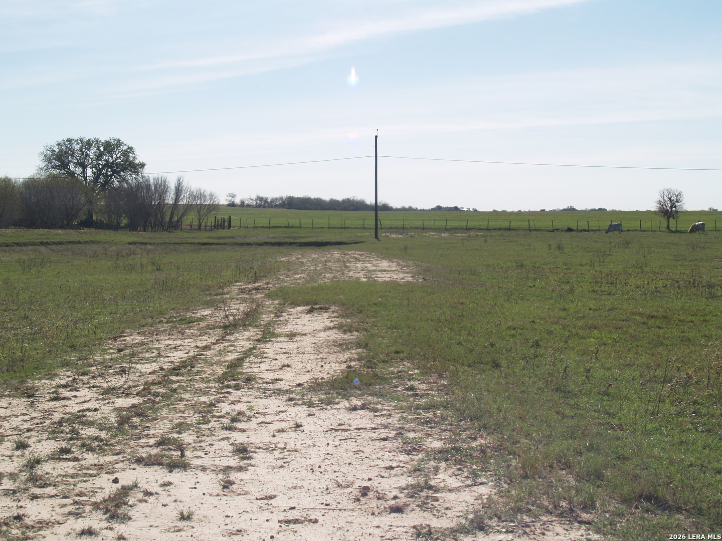 Tbd 10 Ac Fm 539 Seguin TX 78121