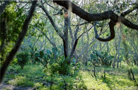 000 County Line Road # 120 Beeville TX 78102