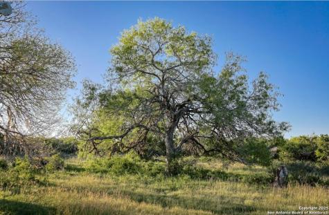 000 County Line Road # 120 Beeville TX 78102