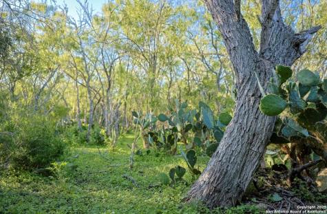 000 County Line Road # 120 Beeville TX 78102