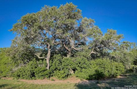 000 County Line Road # 120 Beeville TX 78102