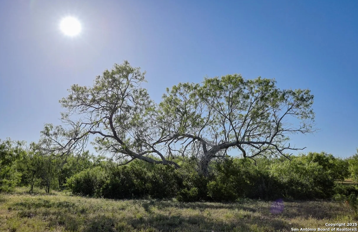 000 County Line Road # 120 Beeville TX 78102