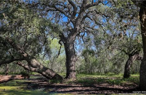 000 County Line Road # 120 Beeville TX 78102
